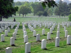 Washington Arlington